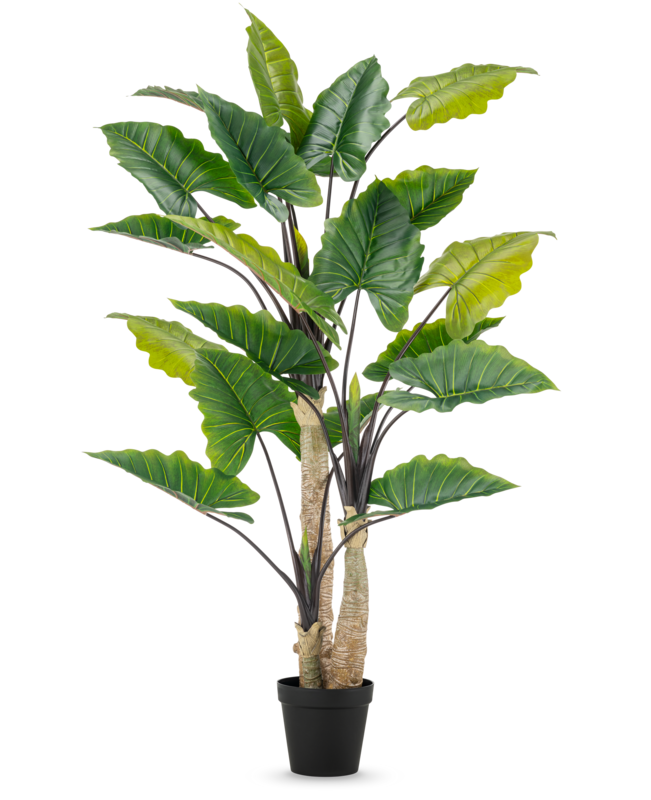 Kunstplant Alocasia 240 cm