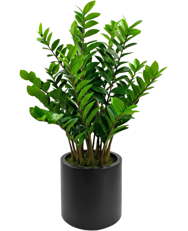 Kunstplant zamioculcas ready-made in zwarte pot 120 cm