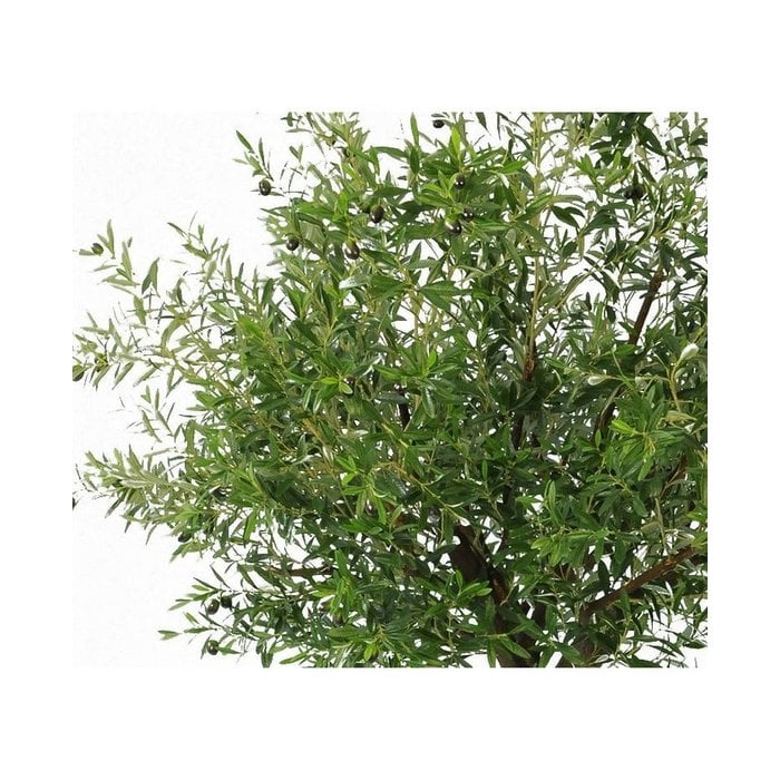 Kunst Olijfboom 270 cm met olijven