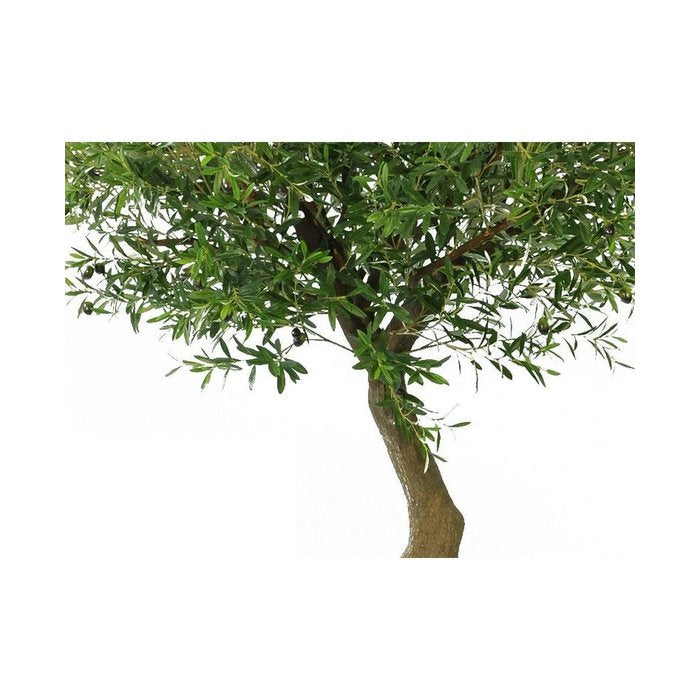 Kunst Olijfboom 270 cm met olijven