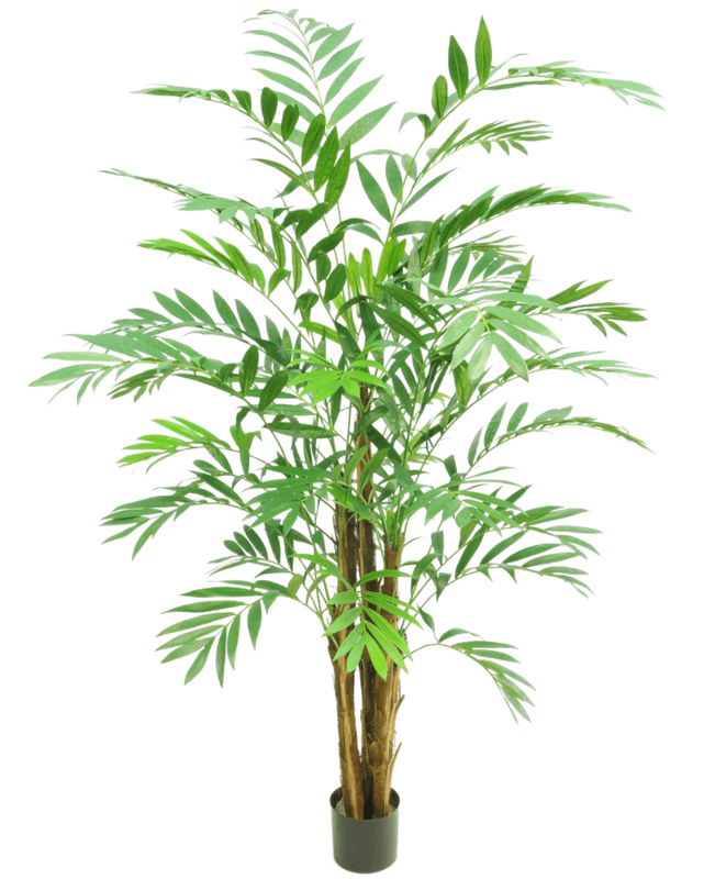 Kunstplant Hawaii Parlor 180 cm