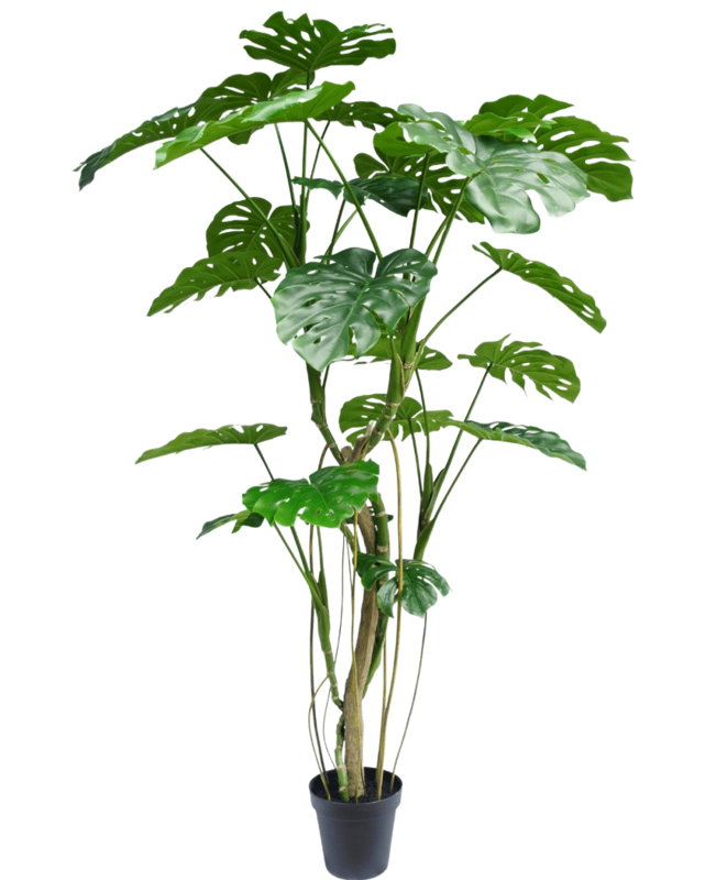 Monstera kunstplant 210 cm