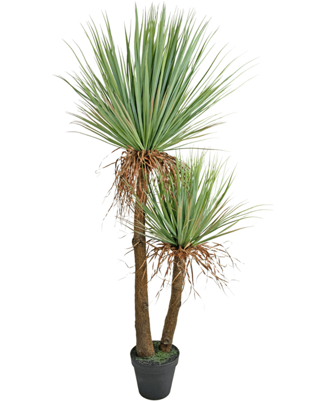Kunstplant Yucca Deluxe 153 cm