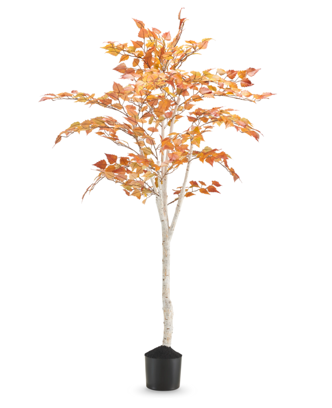 Kunst Berkenboom “Herfst” 150 cm