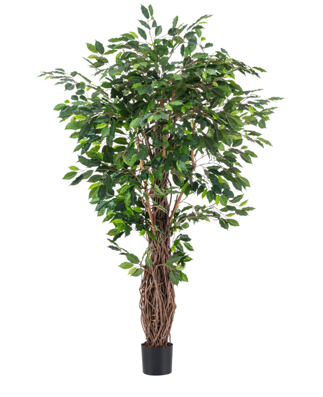 Kunstplant Ficus Tropical Liana 180 cm