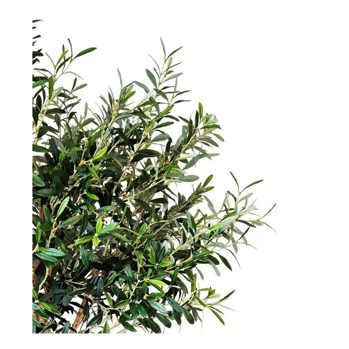 Kunst Olijfboom 190 cm