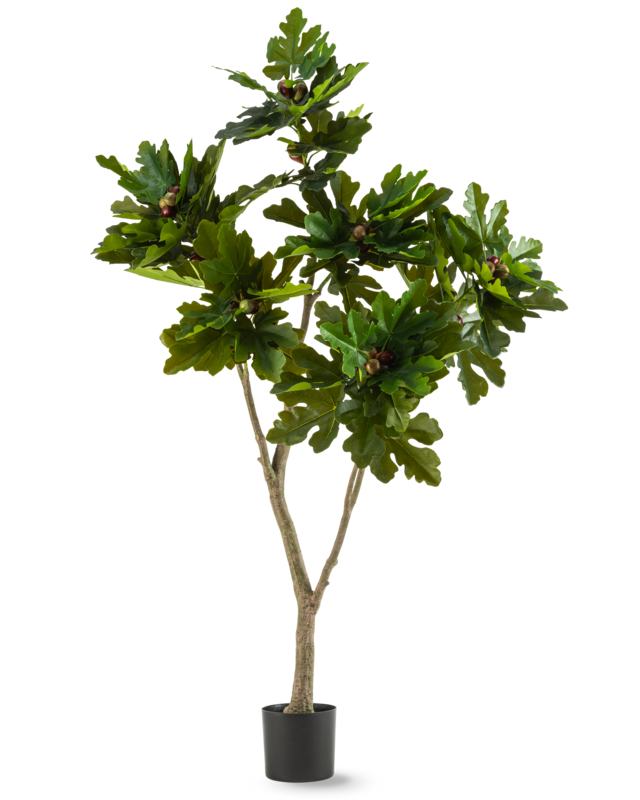 Kunstplant Ficus Carica Vijgenboom 180 cm