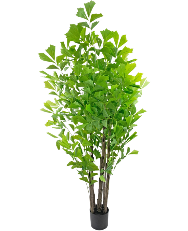 Kunstplant Vissenstaartpalm 210 cm