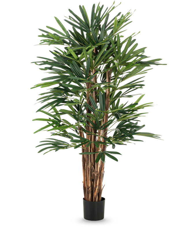 Kunst Lady Palm 150 cm