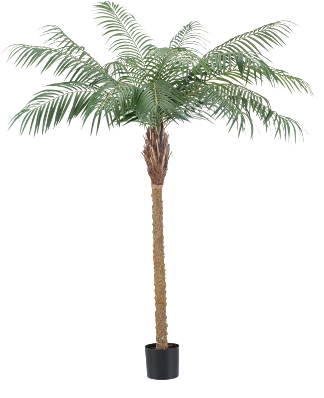 Kunst plant Phoenix Palm De Luxe 180 cm