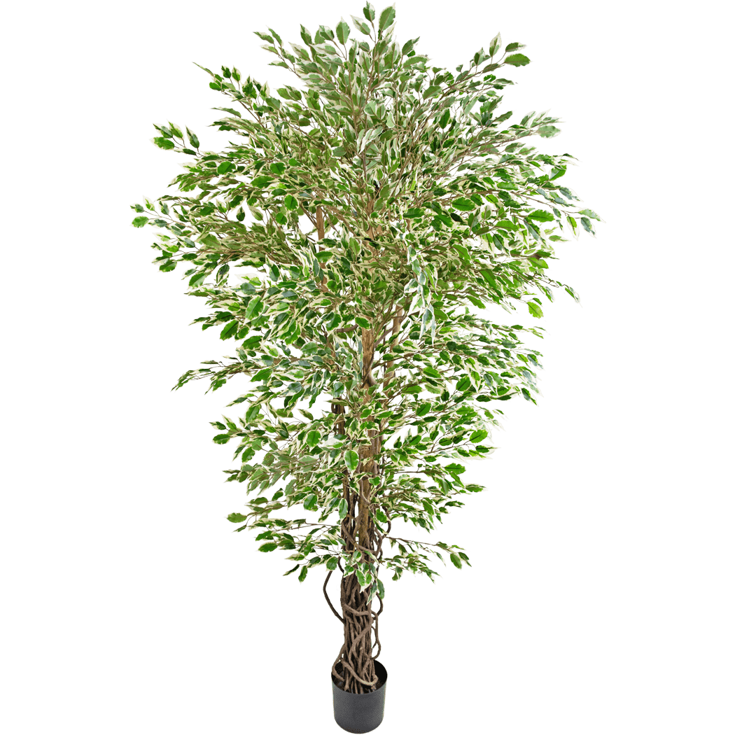 Kunstplant Hawaiiaanse Ficus Liana 180 cm