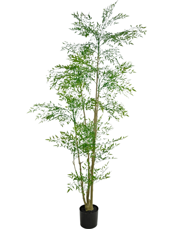 Kunstplant Ruscus 210 cm
