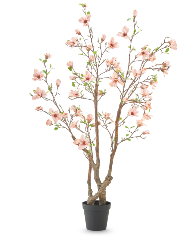 Kunstplant Magnolia 220 cm
