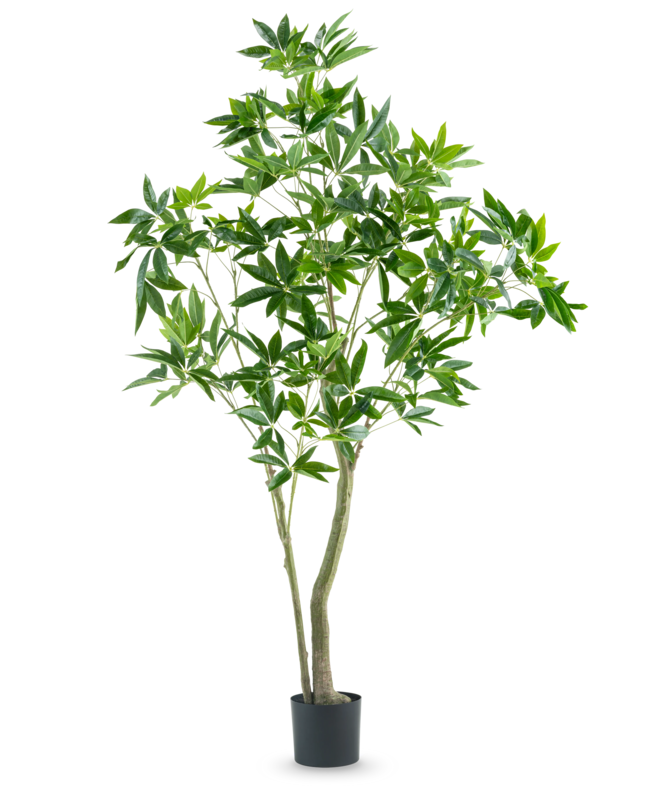 Kunstplant Pachira 180 cm