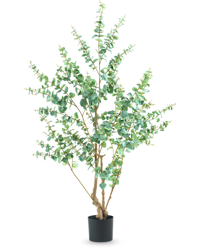 Kunstplant Eucalyptus 180 cm