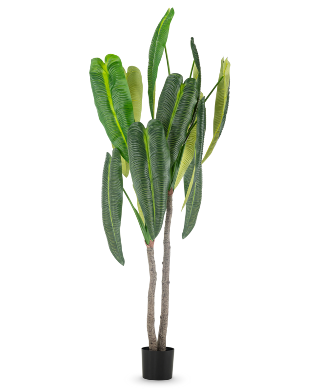Kunstplant Anthurium 210 cm