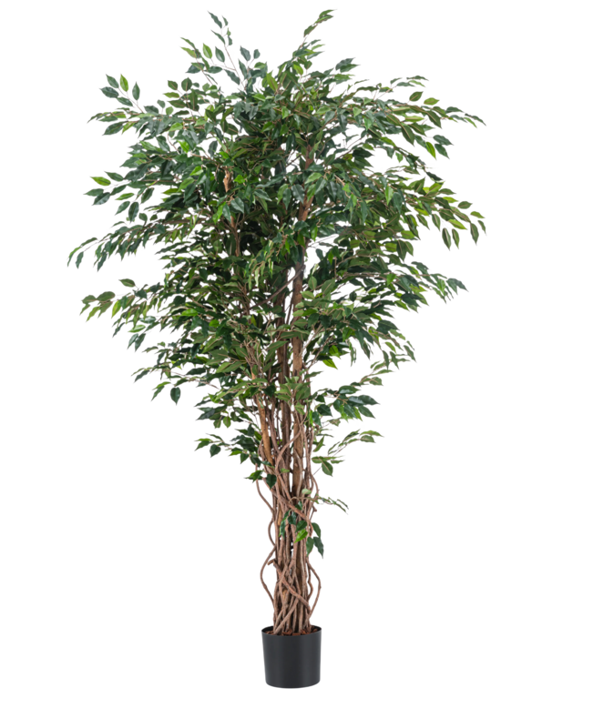 Kunstplant Ficus Liana 180 cm