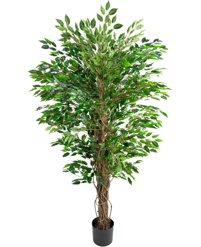 Kunstplant Hawaiiaanse Ficus Liana 150 cm