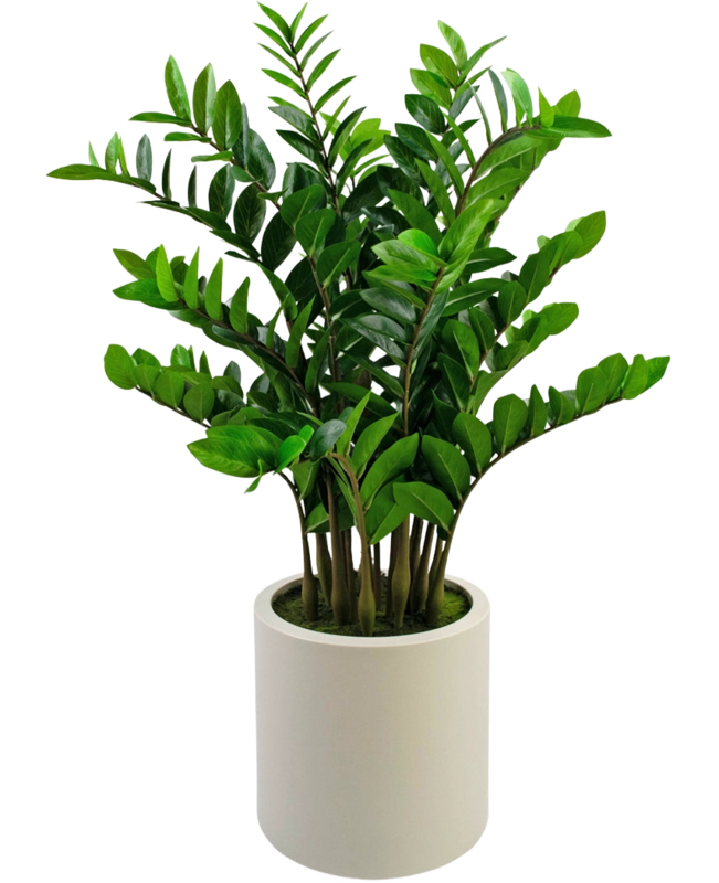 Kunstplant zamioculcas ready-made in beige pot 120 cm
